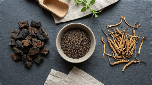 Traditional kidney-supporting herbs including rehmannia root, nettle seed, and cordyceps for men's vitality