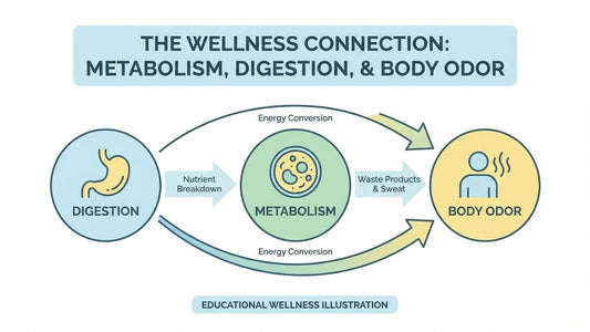 diagram showing internal metabolism and body odor connection