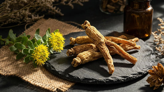 Rhodiola rosea Arctic root for male performance, mental stamina, and physical endurance support